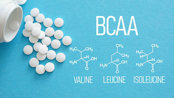 Les BCAA stimulent-ils vraiment l’anabolisme ?
