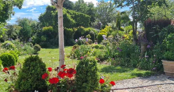 The Garden & Me