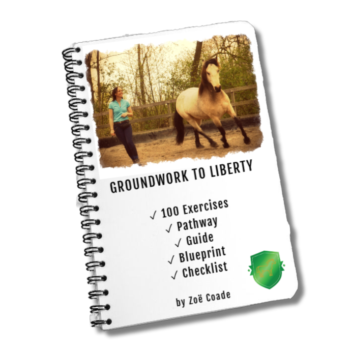 💚 All Groundwork & Liberty Chat...