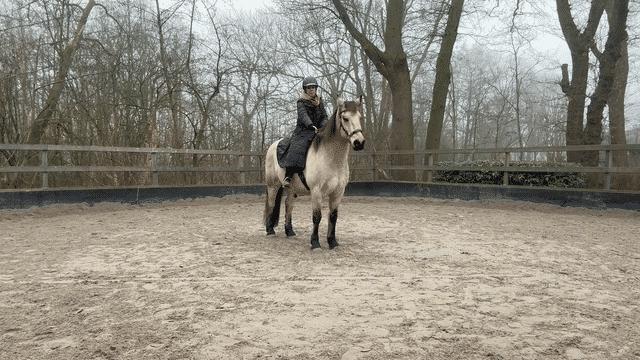 👉 A Small Update to Support Different Learning Styles...