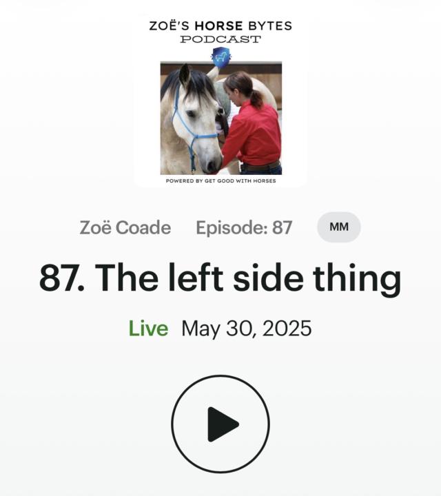 🎧 The Left Side Thing...