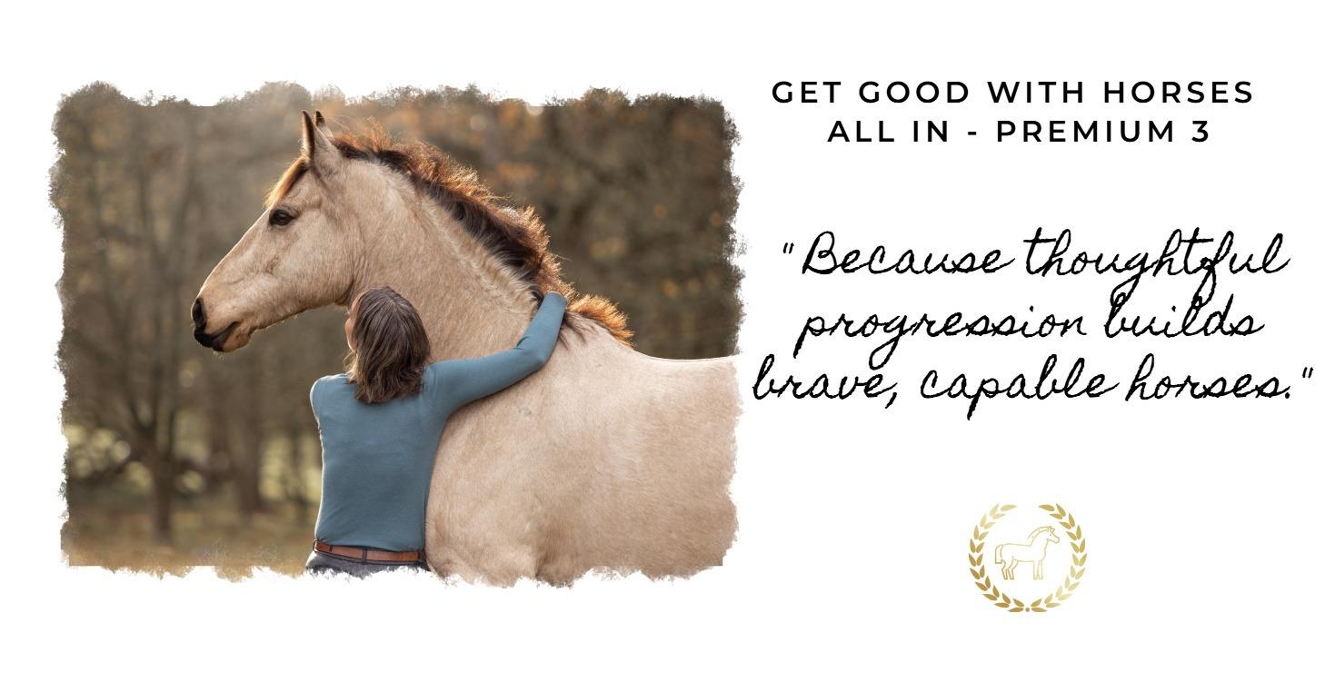 3. Get Good With Horses Skool