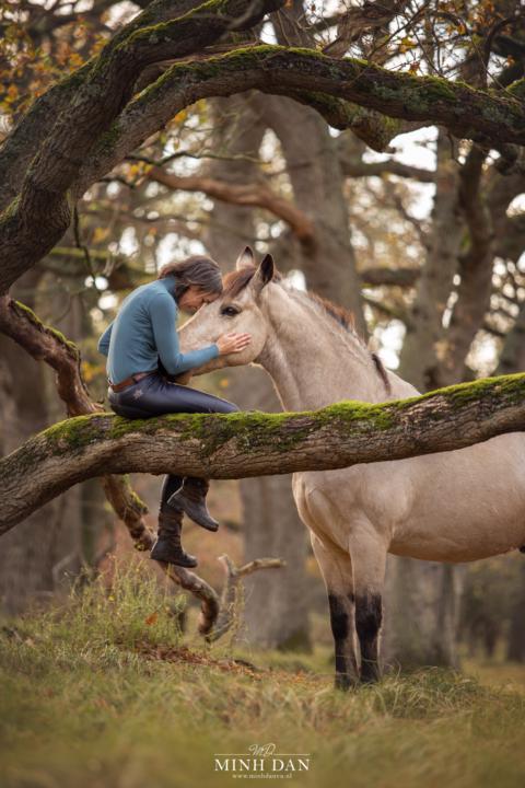 🐴 A Sunday Thought From The Horse… 