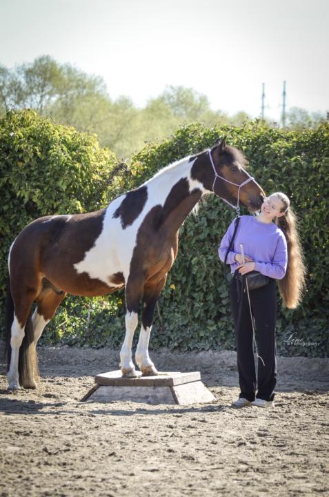 Introduction: Lieke, Guus and Millie