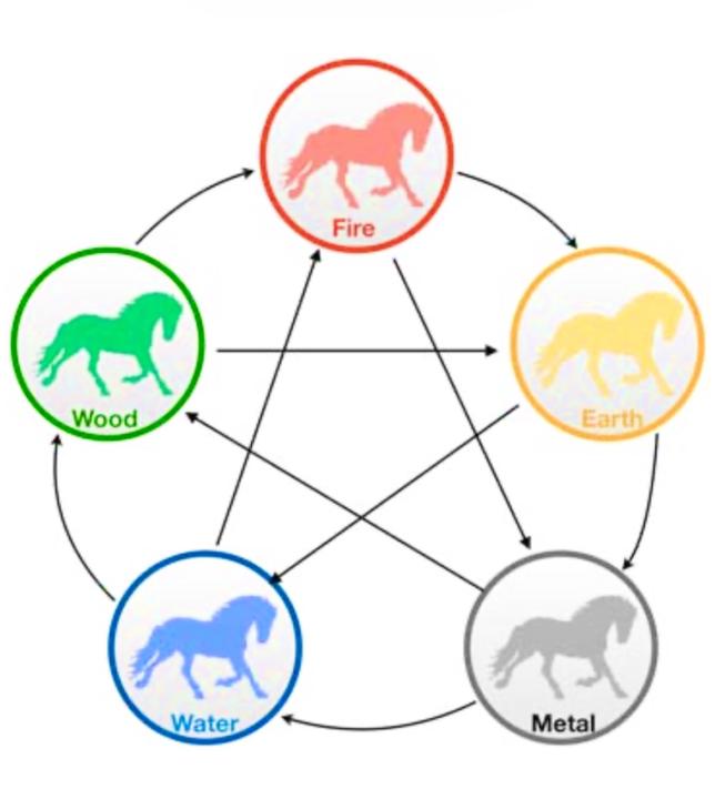 SHIATSU: The Theory of the 5 Elements... what horse is yours?