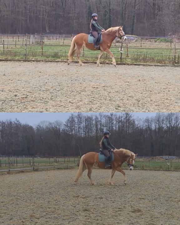 New week, new training 😎