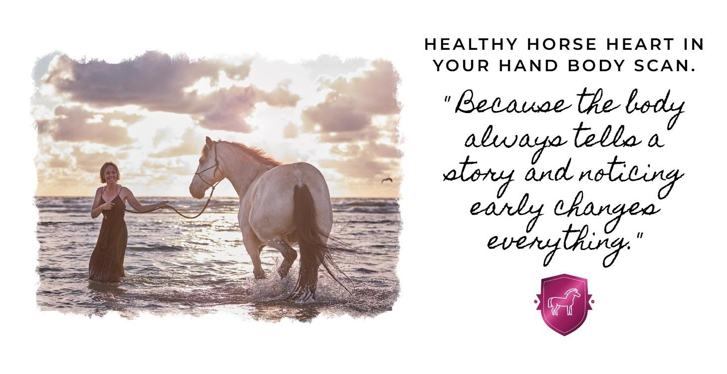 The Get Good Healthy Horse Body Scan