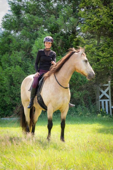 ✨ If Anything Were Possible…What Would You Teach Your Horse?