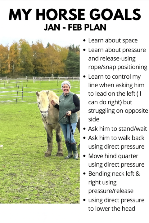 Timing it right to start my youngster🐴