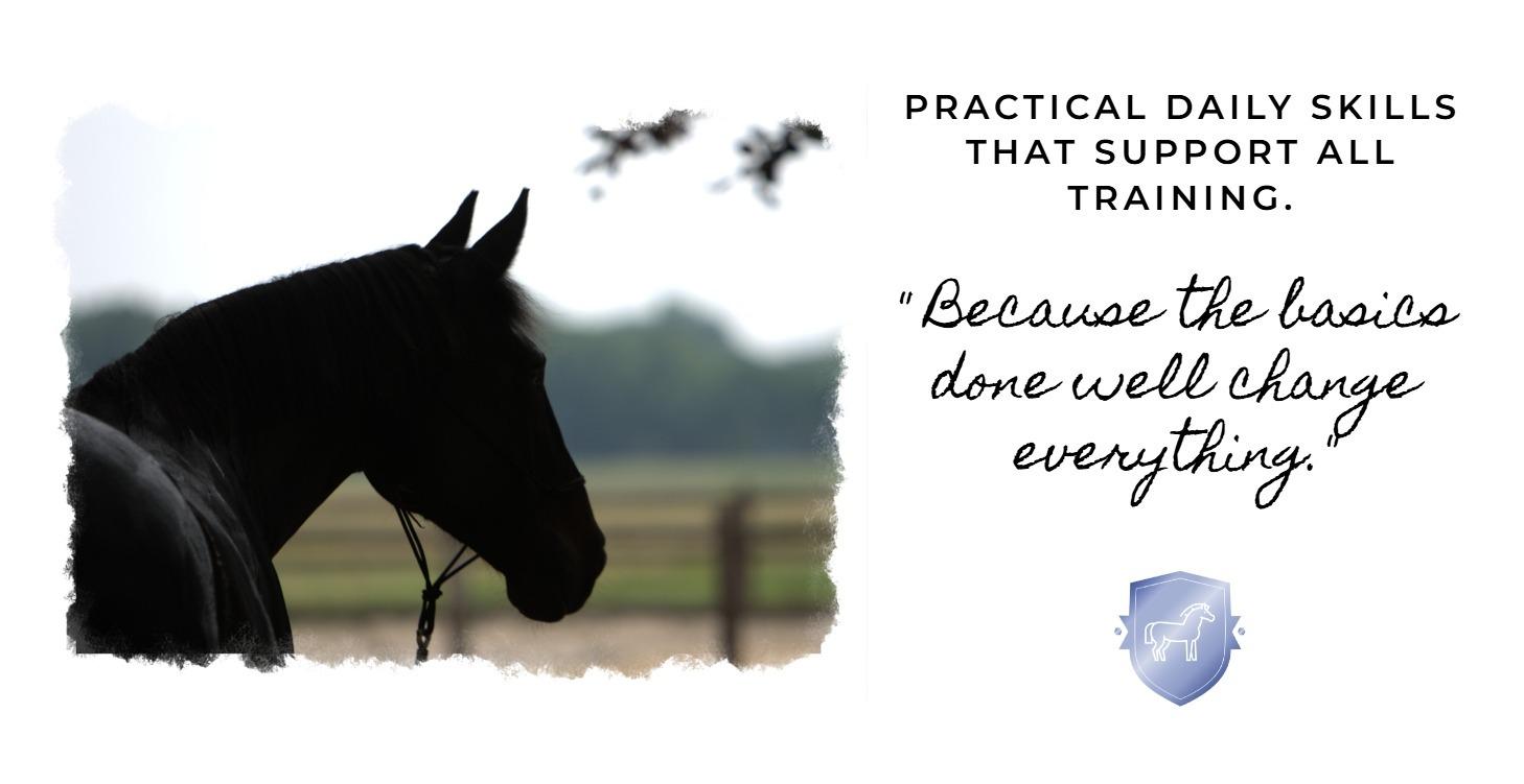 The Get Good Tool Kit Groundwork - Level 3 Unlock