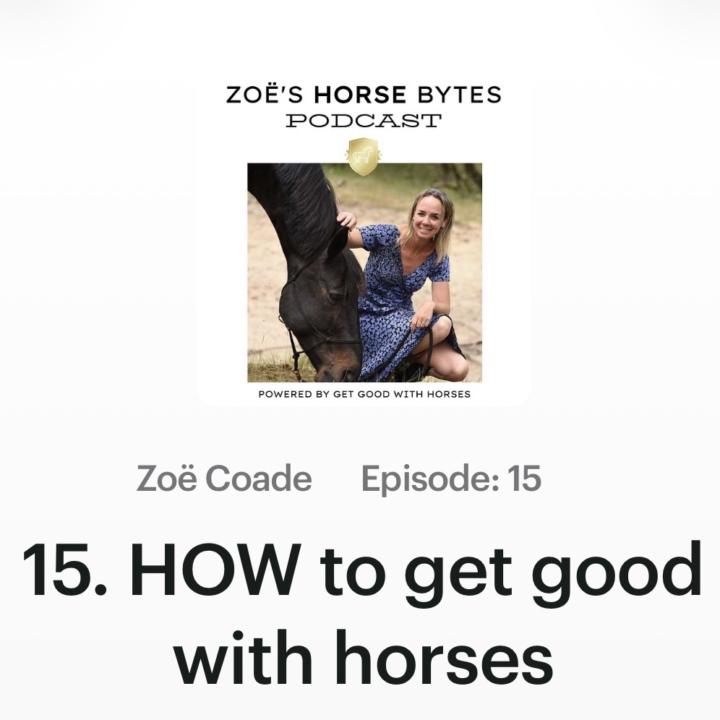 🎧  HOW to get good with horses…