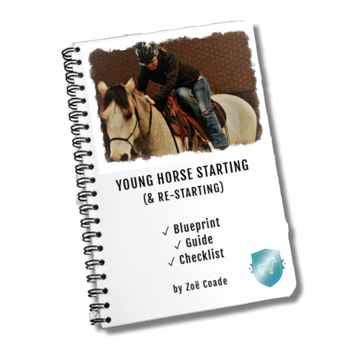 💙 Young Horse Chat...