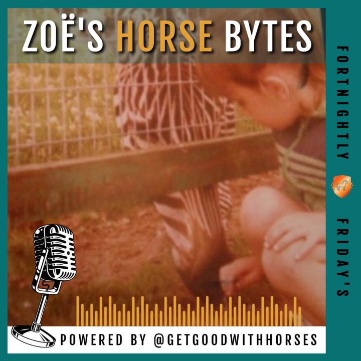 🎙️ NEW episode:  If I Had To Start Again With Horses - I'd Do This First...