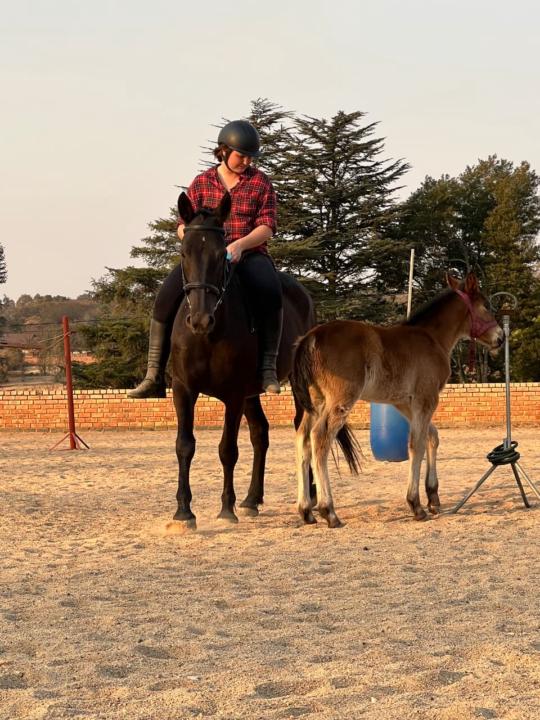 Gravy measurement update and prediction