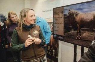 🎬 A little Mustang memory (and a Netflix recommendation)