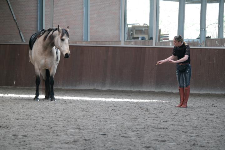 💚 The promise of communication...