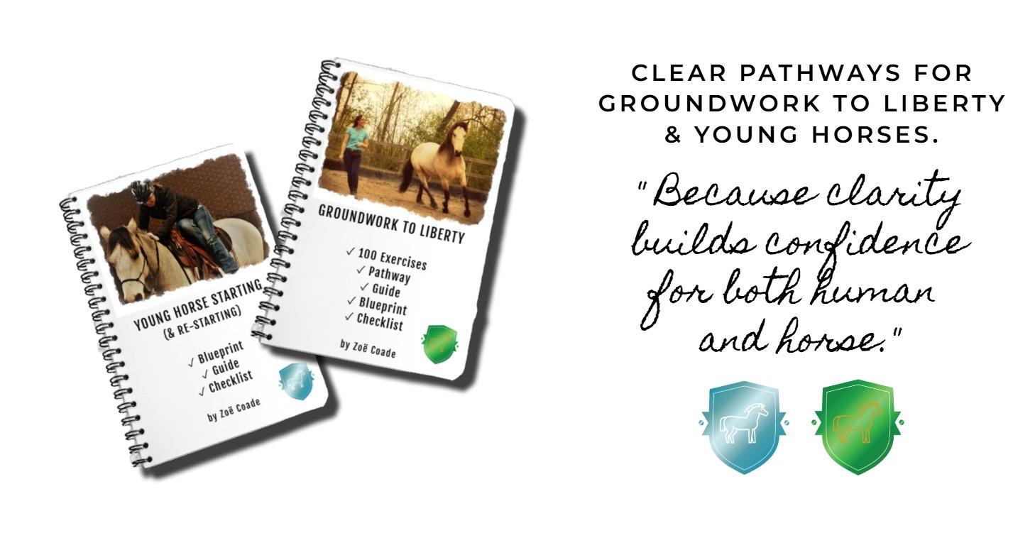 Get Good Groundwork & Young Horse - Level 2 Unlock