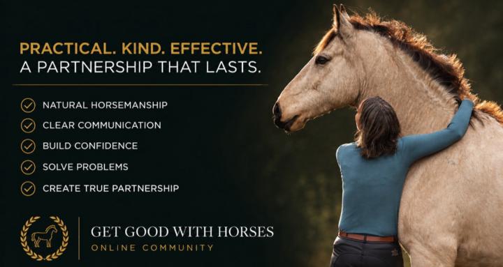 Get Good With Horses Courses