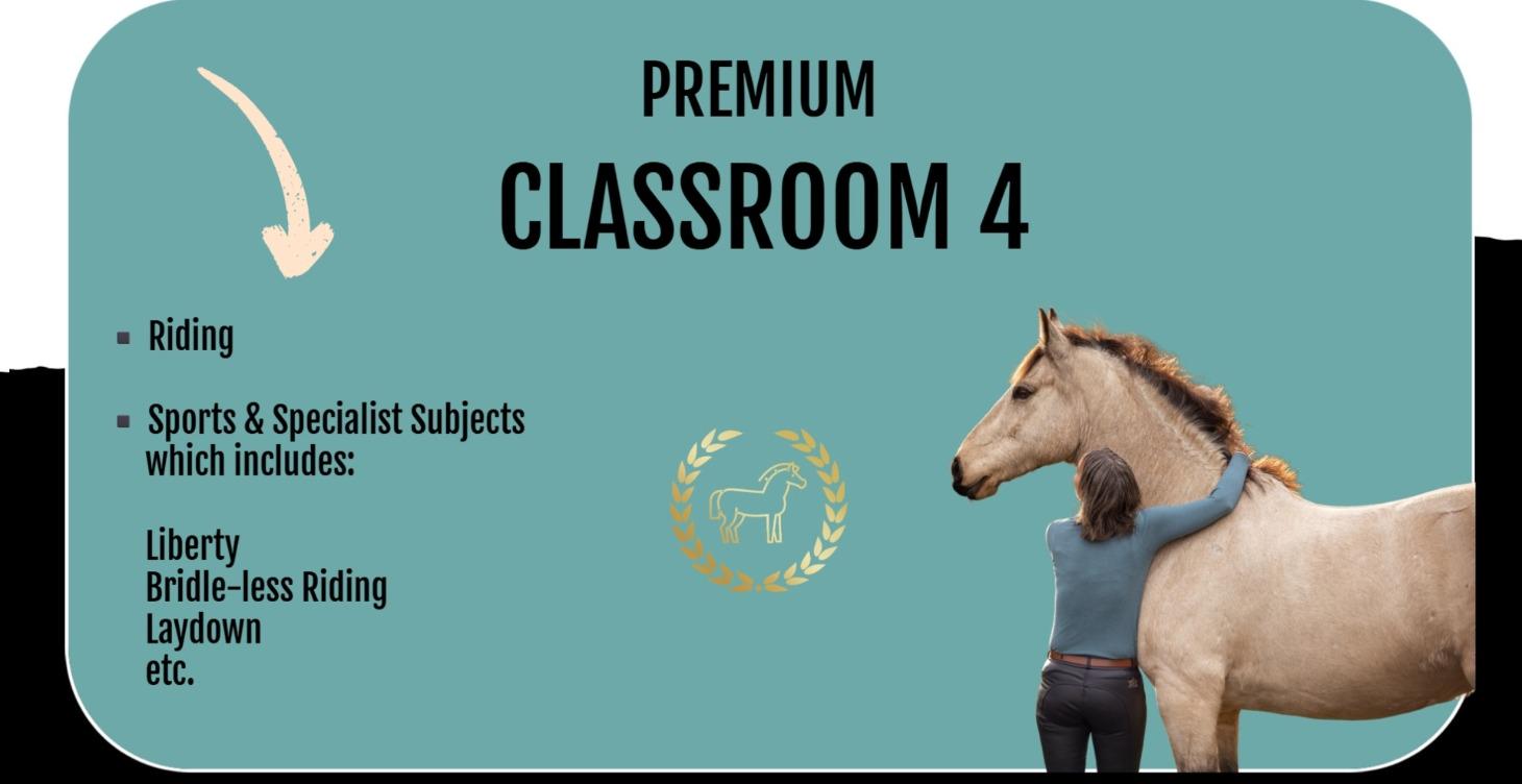 4. Get Good With Horses Skool
