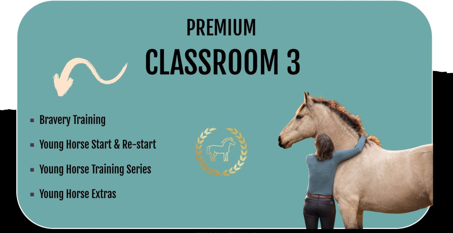 3. Get Good With Horses Skool
