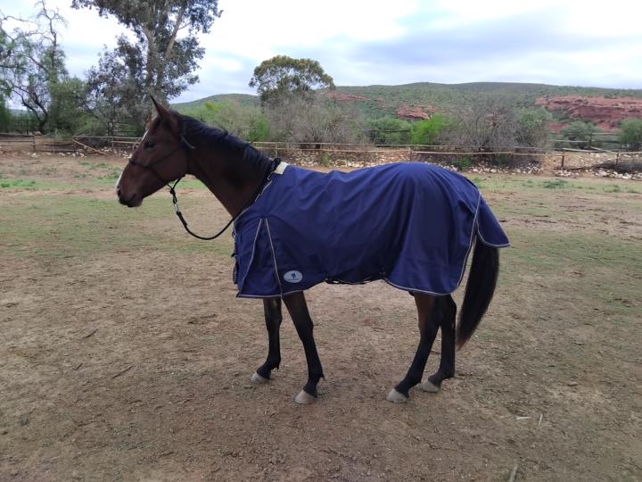 So yetserday we tried on her blanket 
