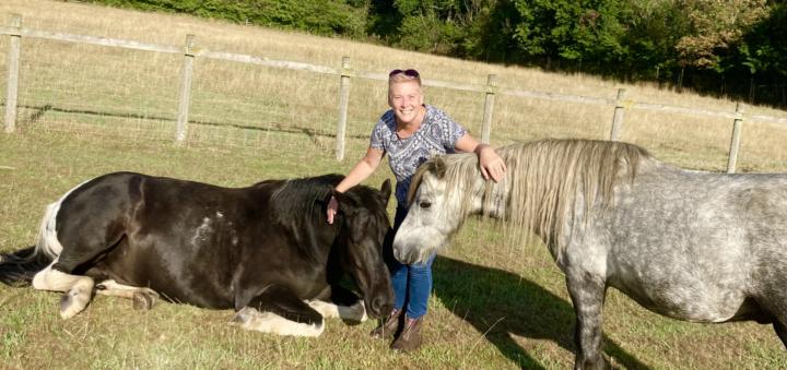 The touch 🐴🫶🐴🫶