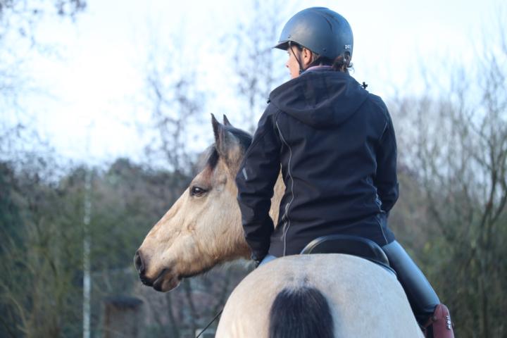 🕊️ Getting Good With Horses Can Come With a Cost...