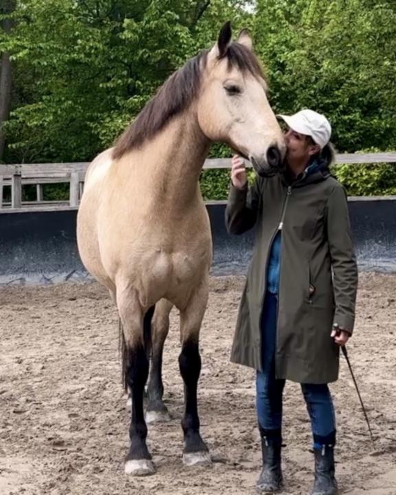 ⭐️ Kheelen (Lenny, Len)…