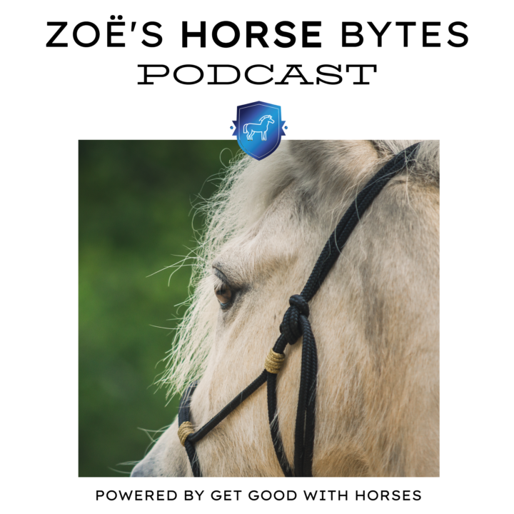 🎧 Ears Forward Does Not Mean Happy Horse...