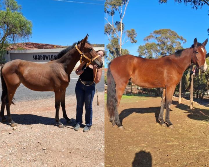 Exactly 3 months difference