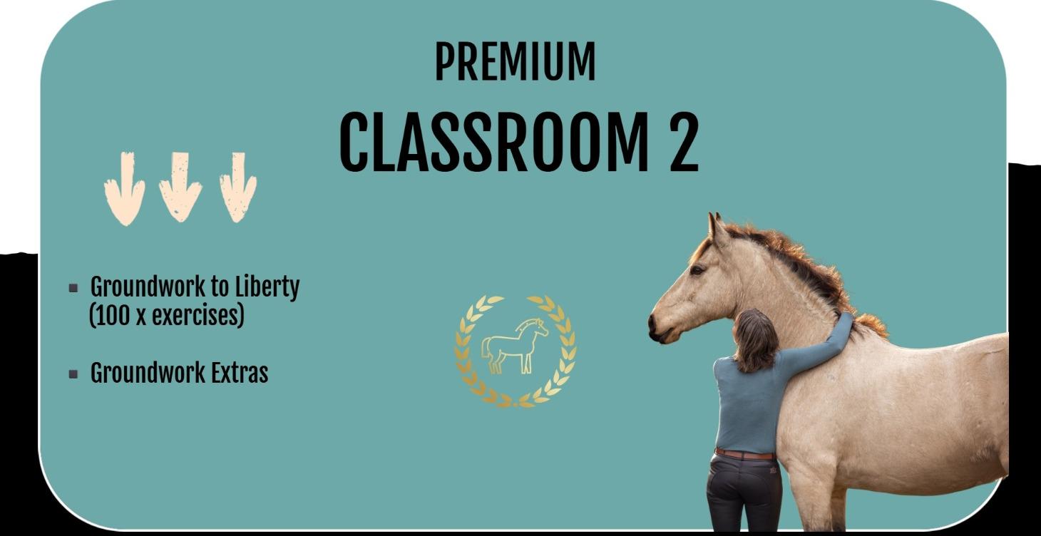 2. Get Good With Horses Skool