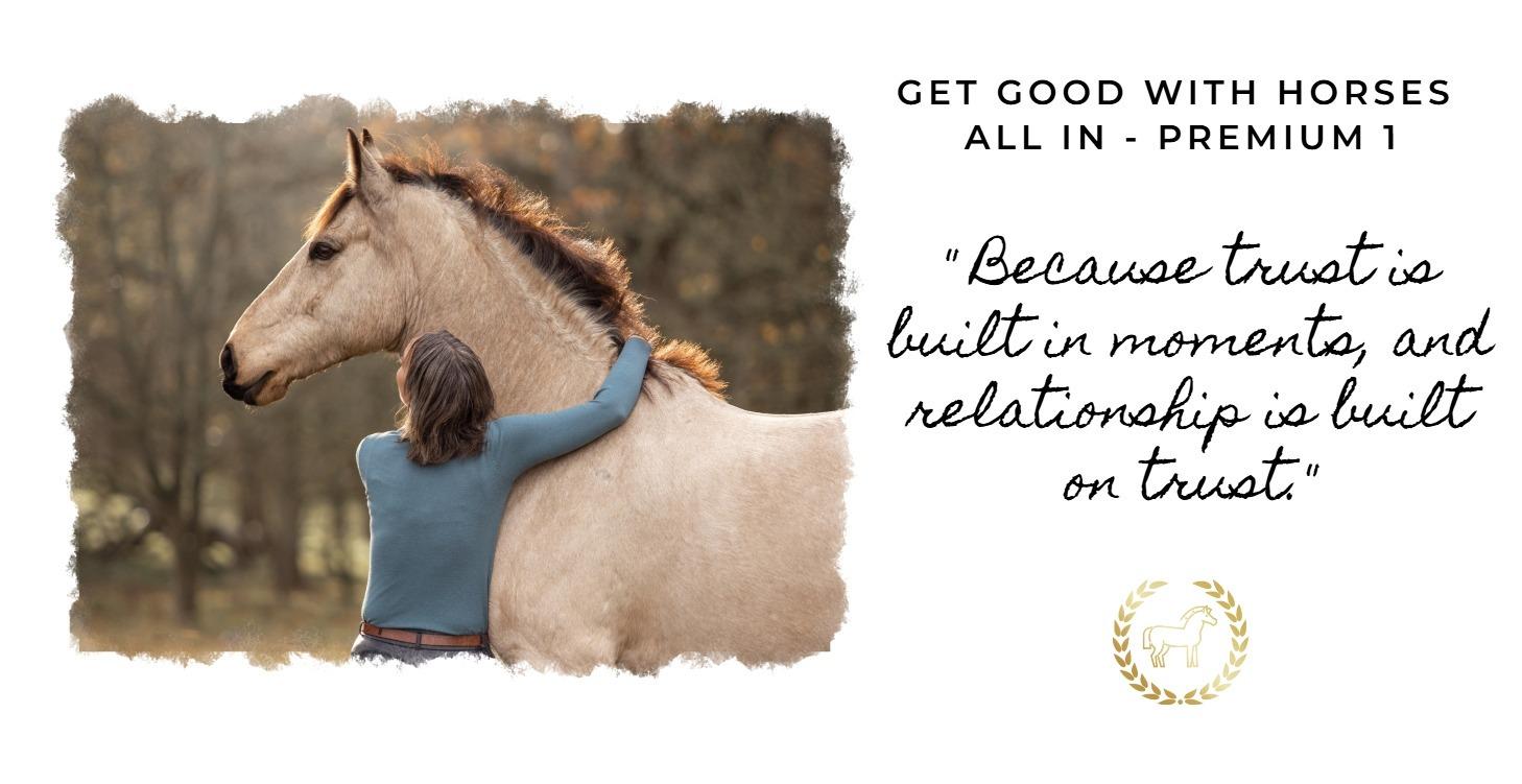 1. Get Good With Horses Skool