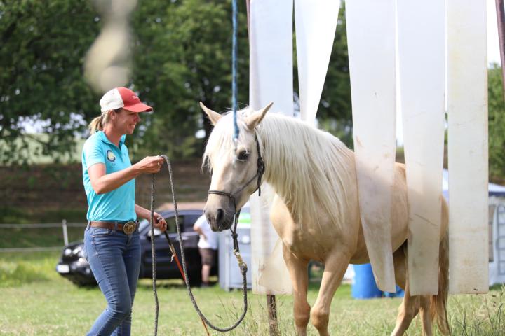 💙 When Young Horses Start Getting Wise...