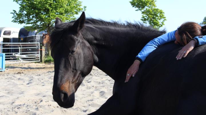 ☮️ I Trust My Horse More Than Most People...