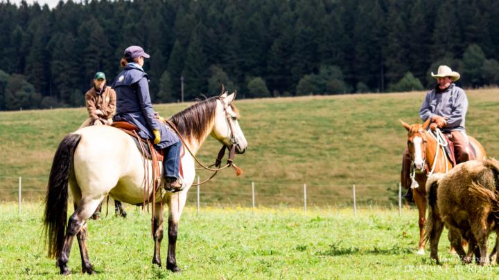 🐴 Another Secret to Getting Good With Horses...