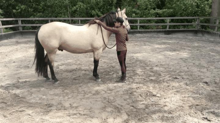 🐴 There’s More to It...