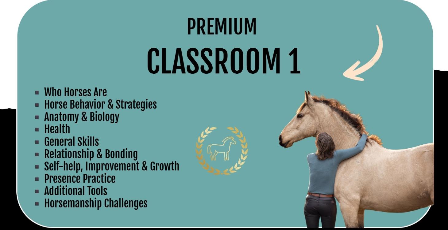 1. Get Good With Horses Skool