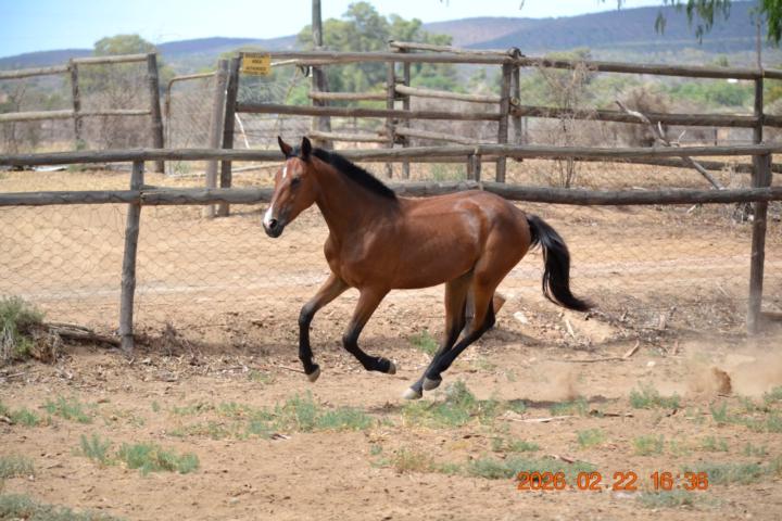 Photoshoot with baby gravy will add a few can defibatly see more of a tb movement