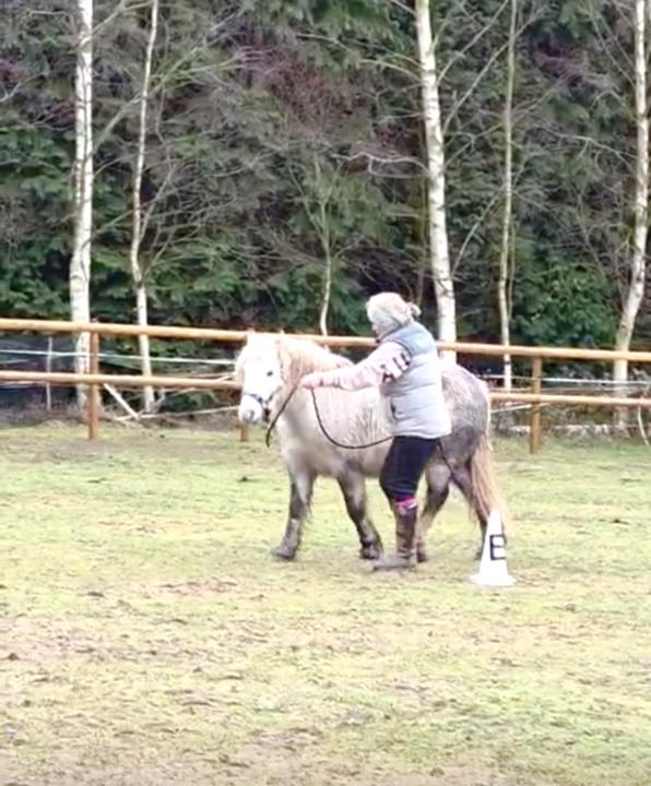 Todays lesson-  rope and leading