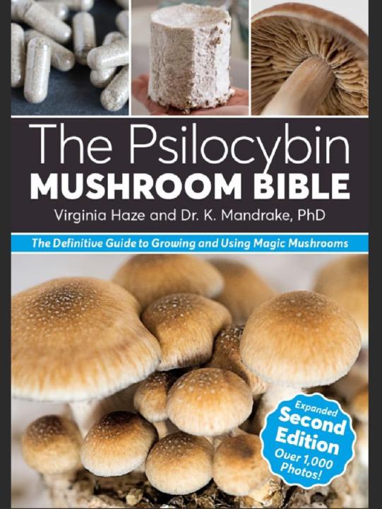 Got any book recommendations? 😁