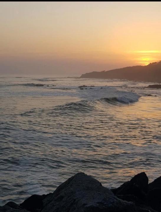 Sebastien Jonckheere