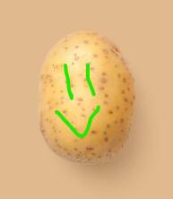 Salted Potato