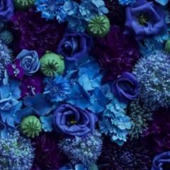 Julie Robinson Broussard