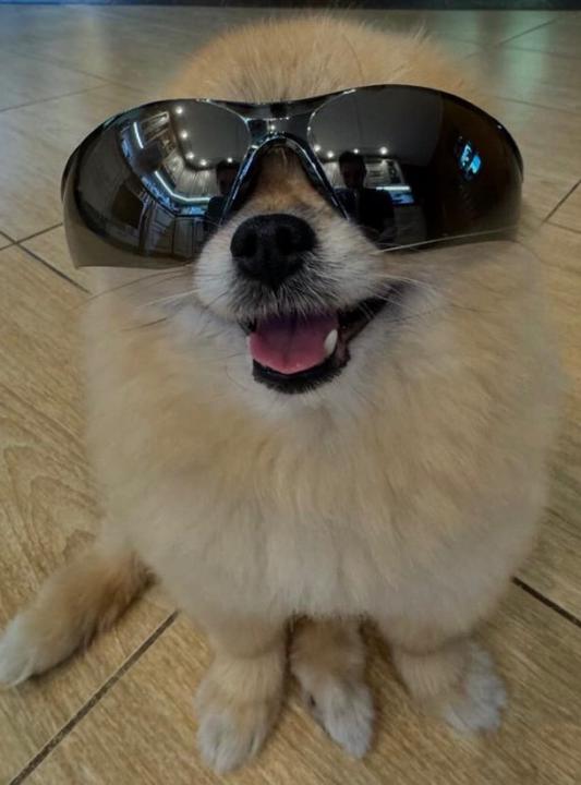 Aye Gee