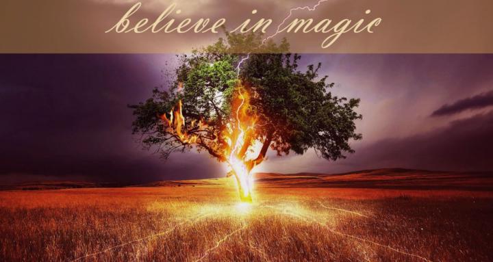 The Midnight Rose Academy