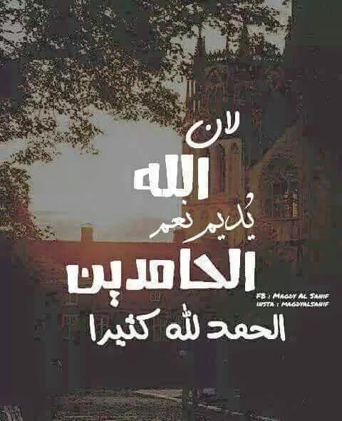 Mohamed Shaalan