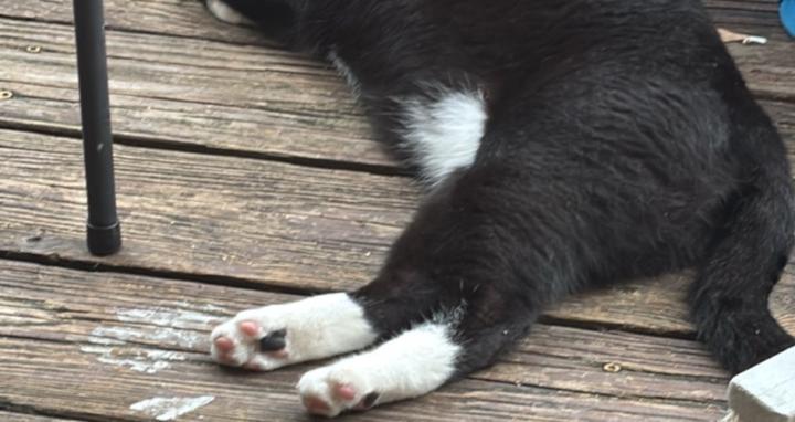 Ingraham Photography