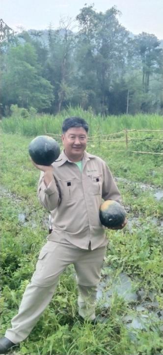 Tashi Da