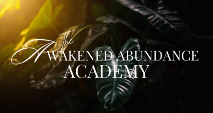 Awakened Abundance Academy