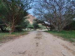 ابراهيم عسيري